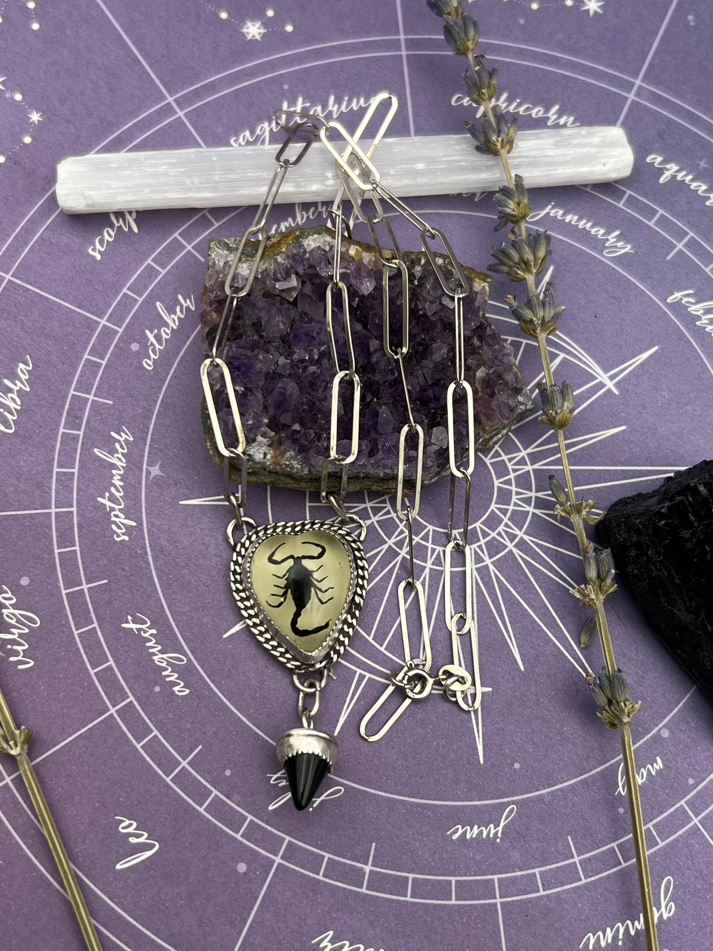 A Scorpio's Guarded Heart Necklace