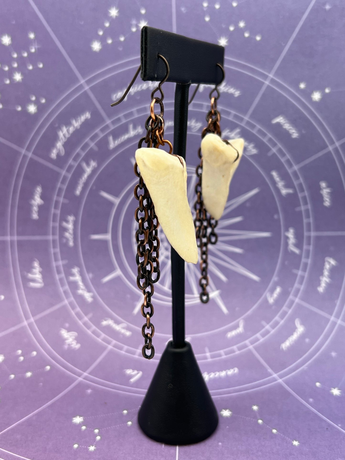 The Coffin Bone Earrings