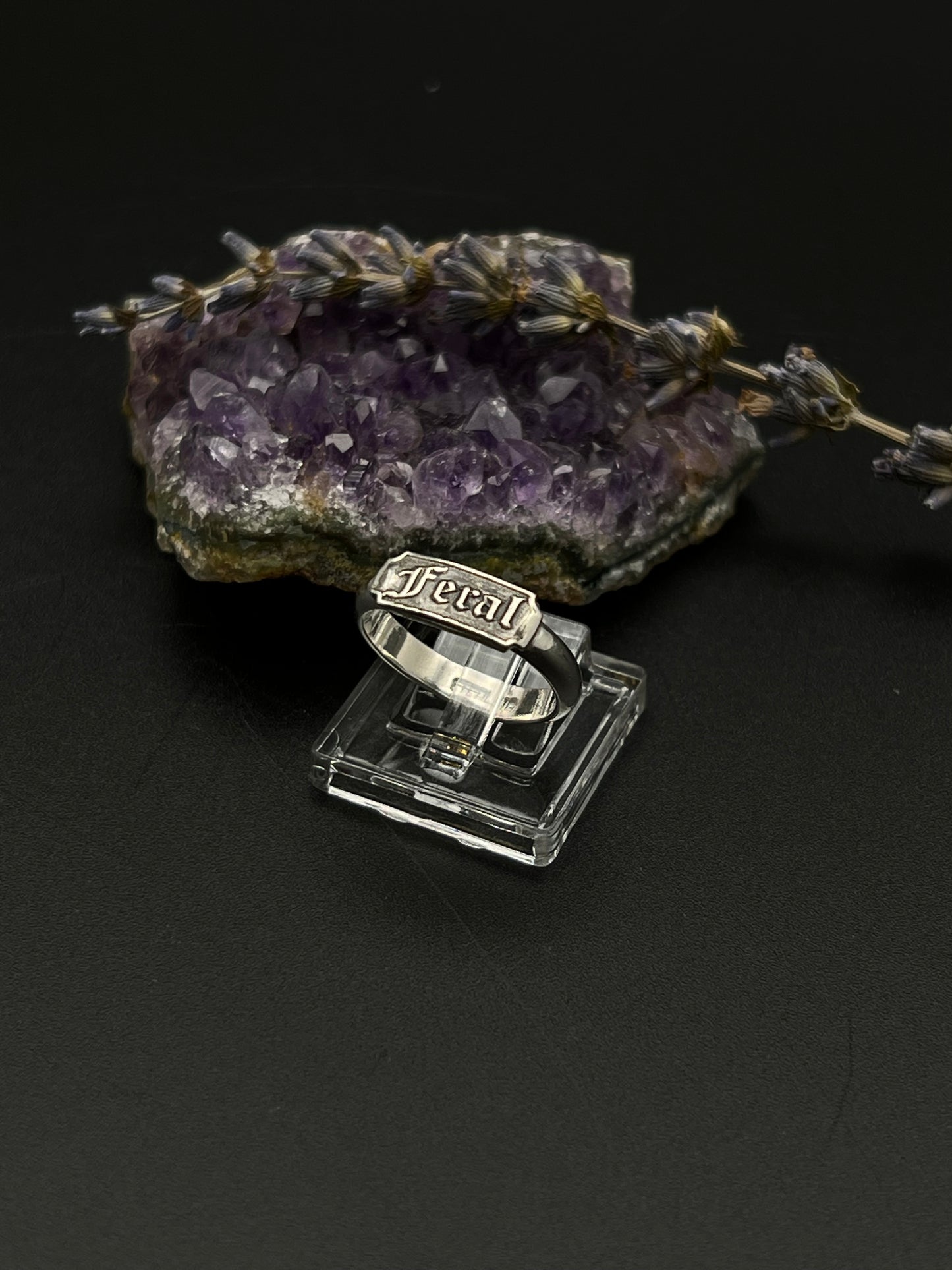 The Feral Ring