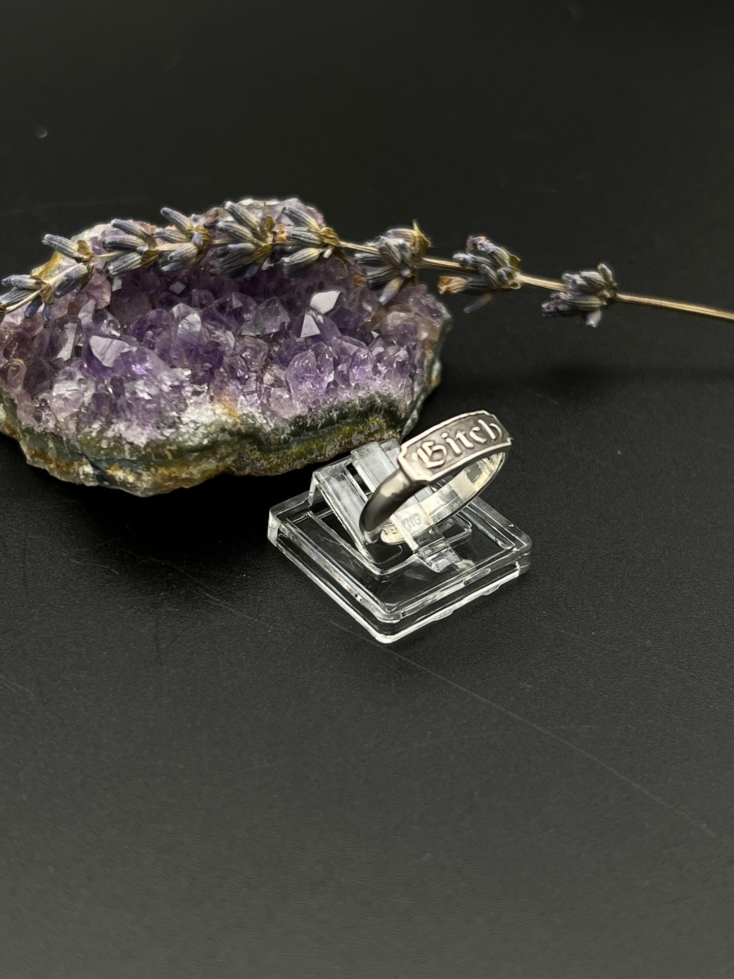 The Bitch Ring